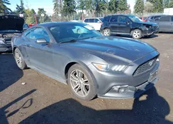 1FA6P8TH7F5343542: 44414745