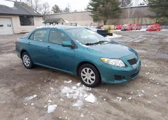 2T1BU4EE3AC381438: 44415951