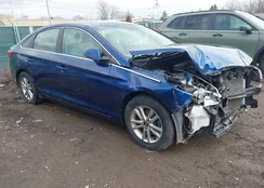 5NPE24AF8GH303714: 44416128