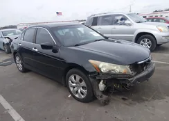 1HGCP36818A062070: 44415530