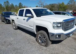 3GTP1VEC3EG501446: 44417201