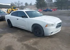 2C3CDXAT1DH608795: 44416598