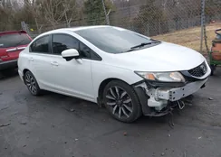 19XFB2F95FE016300: 44418141