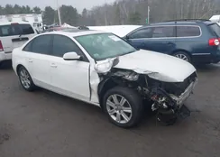 WAUBFAFL9AN015077: 44419316