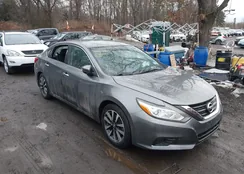 1N4AL3AP8HC176688: 44418411