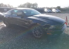 1ZVBP8CF0D5276512: 44420204