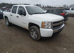 3GCEK23319G250552: 44420231