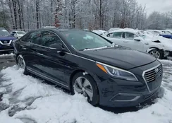 KMHE34L14GA019983: 44420331