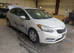 KNAFK4A60F5393540: 44419412