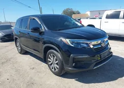 5FNYF5H5XMB038843: 44419528