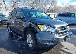 5J6RE4H55BL040103: 44419546