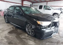 19UUB2F55JA000843: 44419734