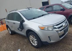 2FMDK3GC6DBE17040: 44421224