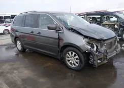 5FNRL38428B023106: 44421306