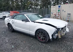 1ZVFT84N655219896: 44422031