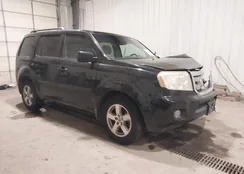 5FNYF48429B008910: 44422053