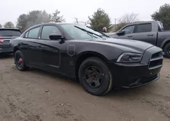 2C3CDXAT9EH114024: 44421552