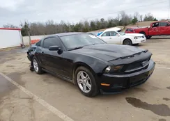 1ZVBP8AN3A5176958: 44422870