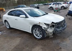 1N4AA5AP5EC493633: 44423034