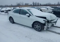 4T1F11BK9PU098942: 44423976