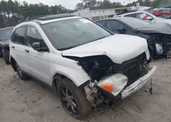 JHLRE38558C003824: 44424351