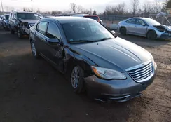 1C3CCBBB8CN176496: 44424809