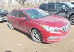 5NPE24AF2FH230984: 44425289