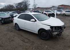 KNAFU4A25D5655198: 44424465