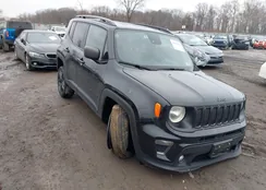 ZACNJDBB3MPN31831: 44424582