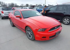 1ZVBP8AM4E5265001: 44426038