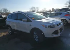 1FMCU0J92DUA86033: 44426049