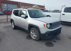 ZACCJABTOGPD05137: 44426134