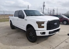 1FTEW1EG8GKF15195: 44426397