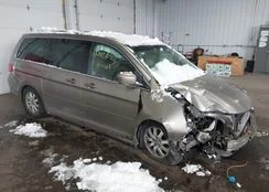 5FNRL3H43AB051891: 44428053