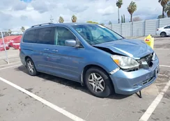 5FNRL38756B127418: 44428071