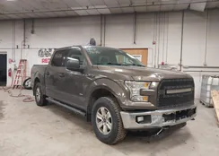 1FTEW1EP4GFD25225: 44427646