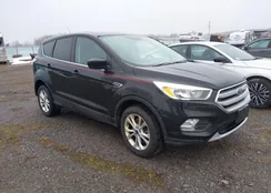 1FMCU9GD1HUA24984: 44428825