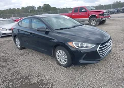 5NPD74LF6HH194567: 44428491