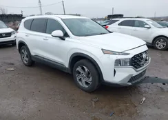 5NMS1DAJ9MH366467: 44428595