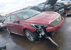 5NPE34AF6FH037931: 44428601