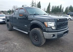 1FTFX1ET8DFA07733: 44430341