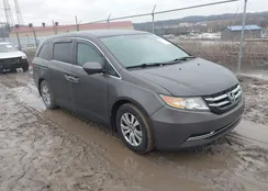 5FNRL5H43FB052767: 44430433