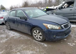 1HGCP2F71AA176934: 44430484