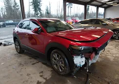 3MVDMBDM6SM781510: 44431799