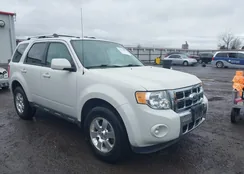 1FMCU9EG8BKC54702: 44431867