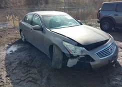 JN1CV6AR3BM406254: 44432331