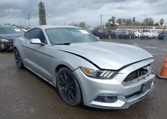 1FA6P8AM9G5304078: 44431640