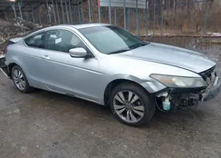 1HGCS12878A024934: 44433068