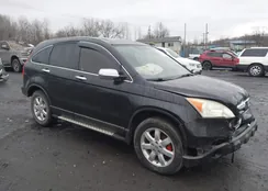 JHLRE48537C049737: 44432618