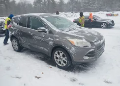 1FMCU0H96DUD70934: 44432744